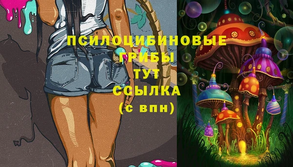 ешки Армянск