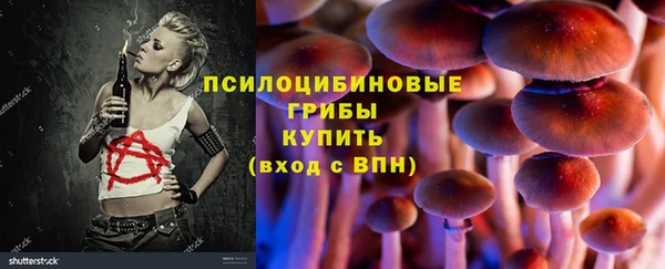 a pvp Болхов