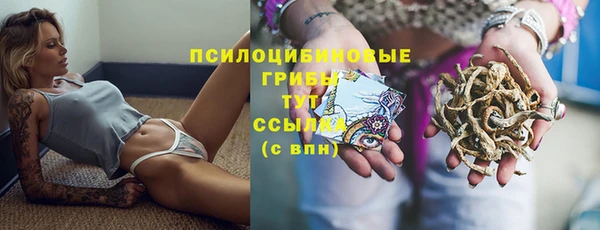ешки Армянск