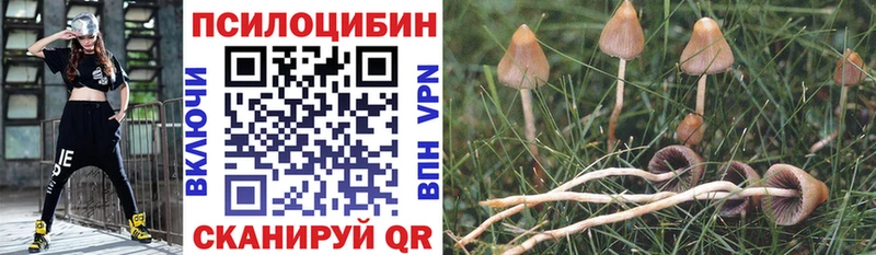 купить наркоту  Берёзовский  darknet телеграм  Галлюциногенные грибы GOLDEN TEACHER 